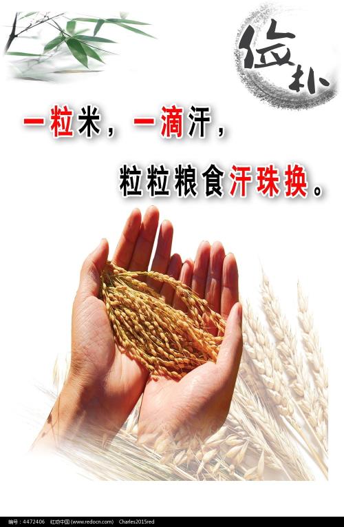 找人做仿真英语专八/证书